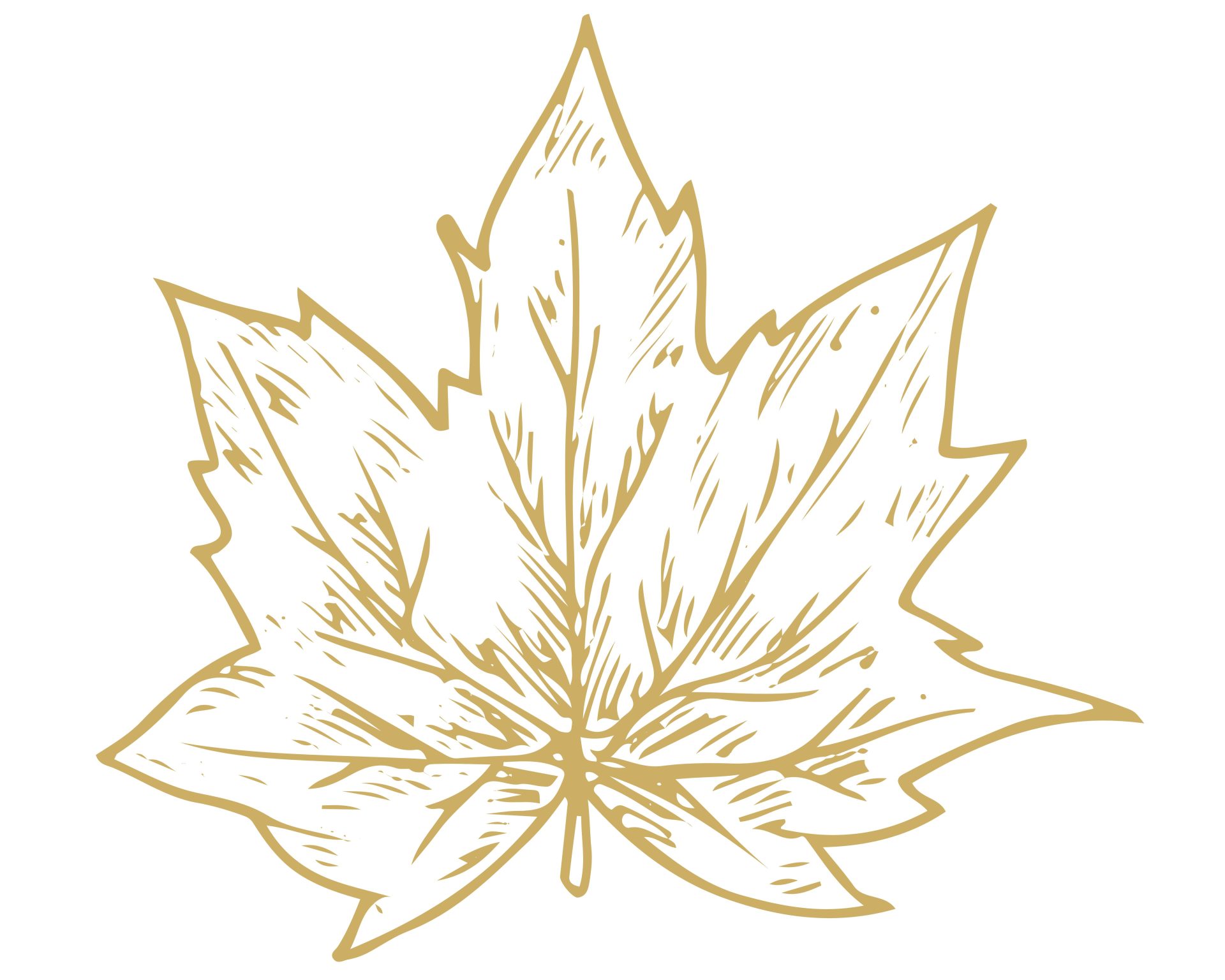 gold maple leaf